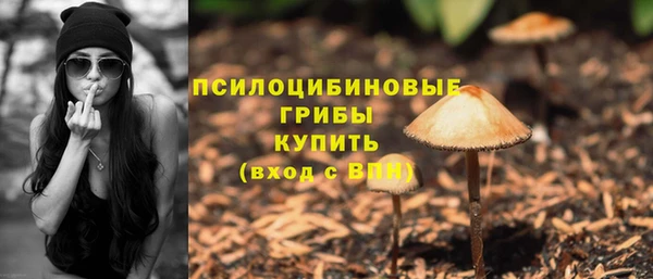 круглые Бородино