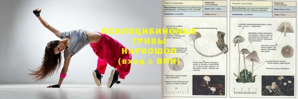 шишки Богородск