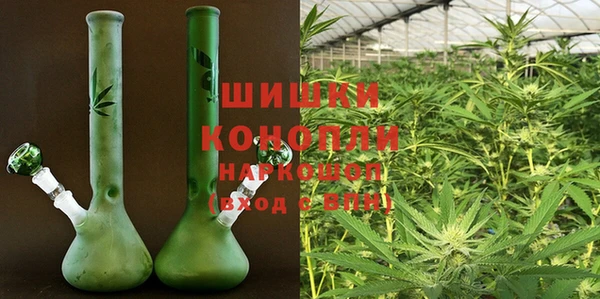 стафф Губаха