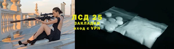 шишки Богородск