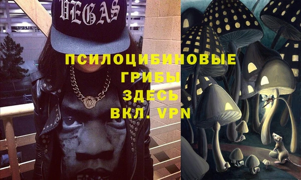 мдма Богородицк