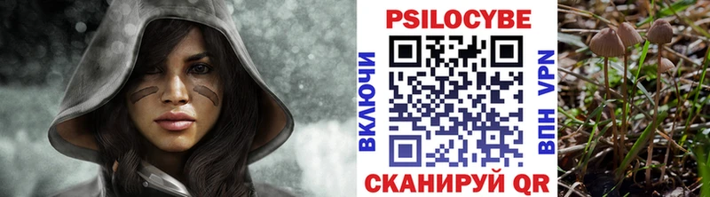 Псилоцибиновые грибы Psilocybe  дарнет шоп  Верхний Тагил 